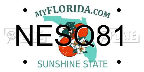 NESQ81 Florida License Plate