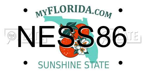 NESS86 Florida License Plate