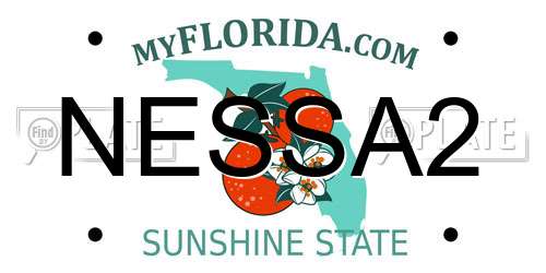 NESSA2 Florida License Plate