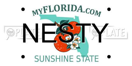 NESTY Florida License Plate