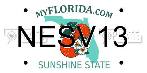 NESV13 Florida License Plate
