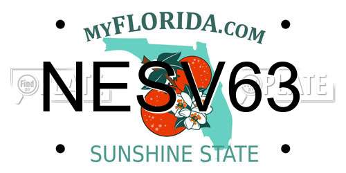NESV63 Florida License Plate