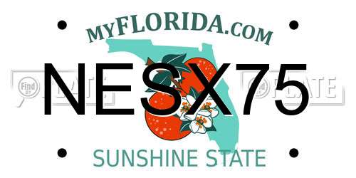 NESX75 Florida License Plate