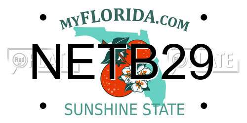 NETB29 Florida License Plate