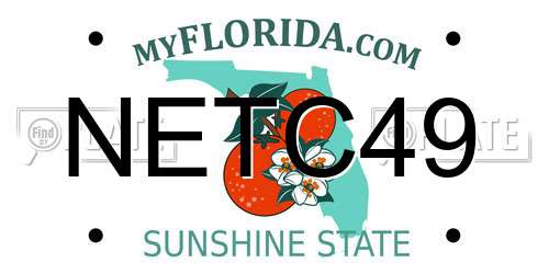 NETC49 Florida License Plate