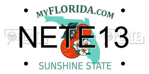 NETE13 Florida License Plate