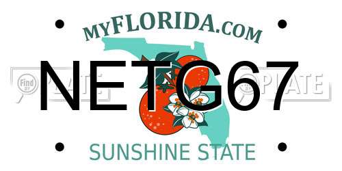 NETG67 Florida License Plate