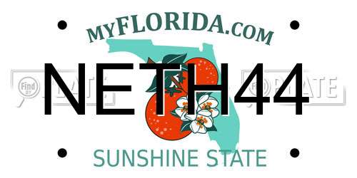 NETH44 Florida License Plate