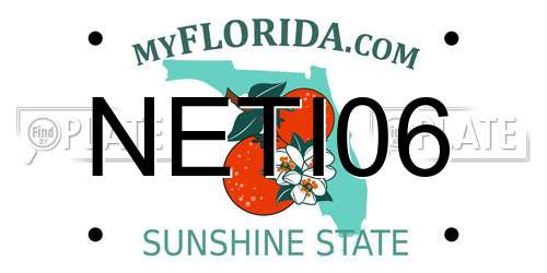 NETI06 Florida License Plate
