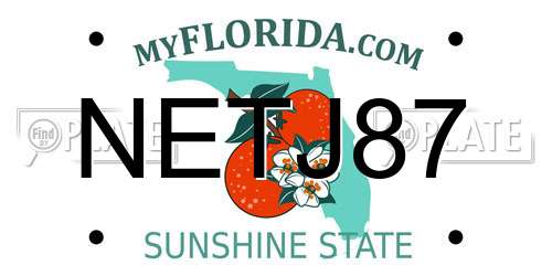 NETJ87 Florida License Plate