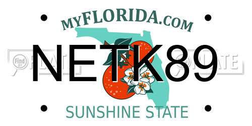 NETK89 Florida License Plate