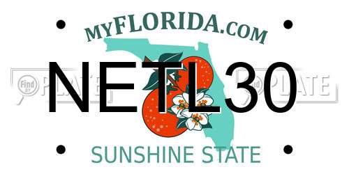 NETL30 Florida License Plate