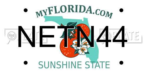 NETN44 Florida License Plate