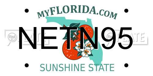 NETN95 Florida License Plate