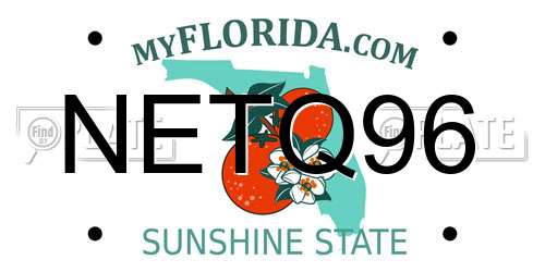 NETQ96 Florida License Plate