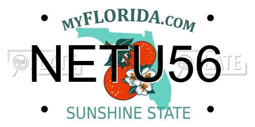 NETU56 Florida License Plate