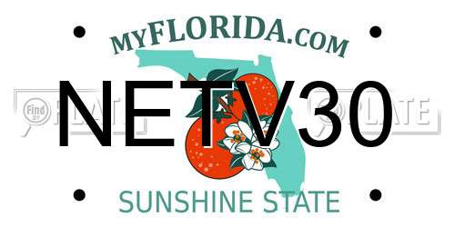 NETV30 Florida License Plate