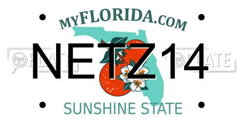 NETZ14 Florida License Plate