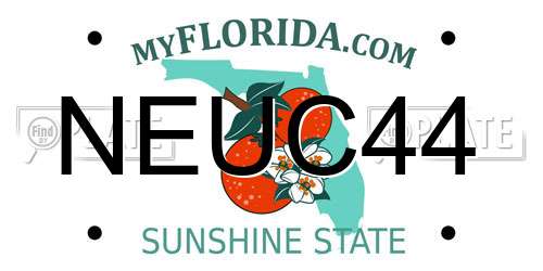 NEUC44 Florida License Plate