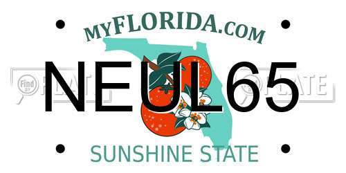 NEUL65 Florida License Plate