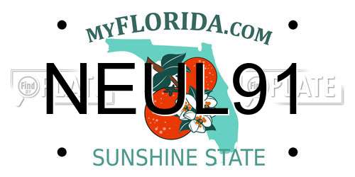 NEUL91 Florida License Plate