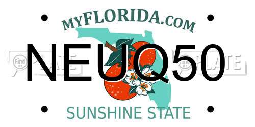 NEUQ50 Florida License Plate