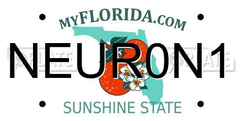 NEUR0N1 Florida License Plate