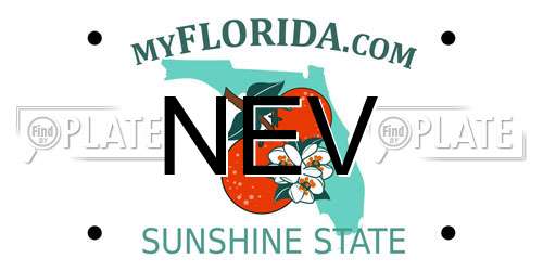NEV Florida License Plate