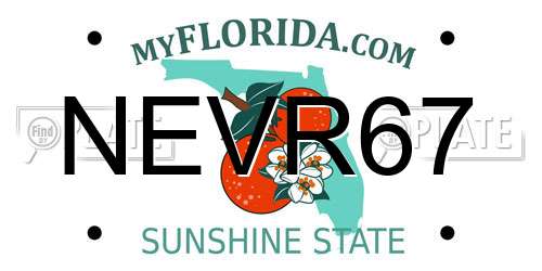 NEVR67 Florida License Plate