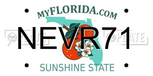 NEVR71 Florida License Plate