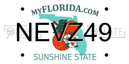 NEVZ49 Florida License Plate
