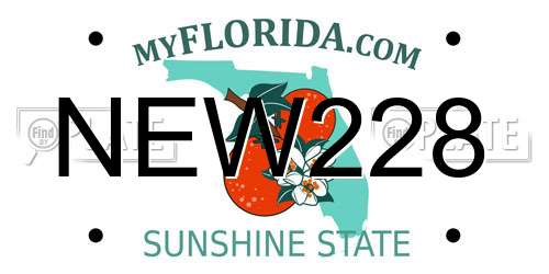 NEW228 Florida License Plate