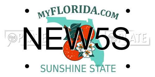 NEW5S Florida License Plate