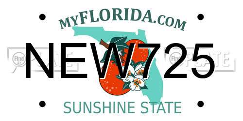 NEW725 Florida License Plate