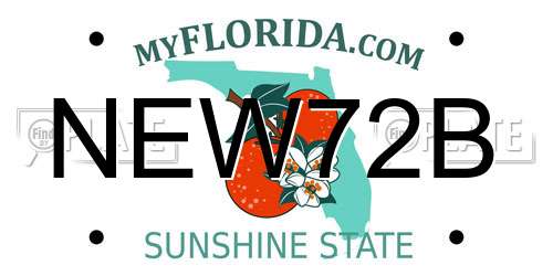 NEW72B Florida License Plate