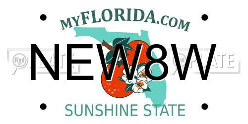 NEW8W Florida License Plate