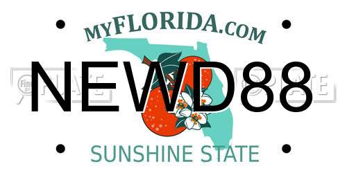 NEWD88 Florida License Plate