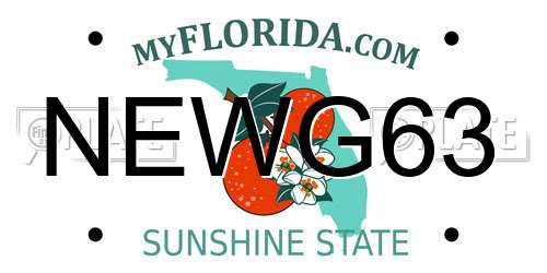 NEWG63 Florida License Plate