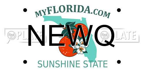 NEWQ Florida License Plate