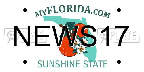 NEWS17 Florida License Plate