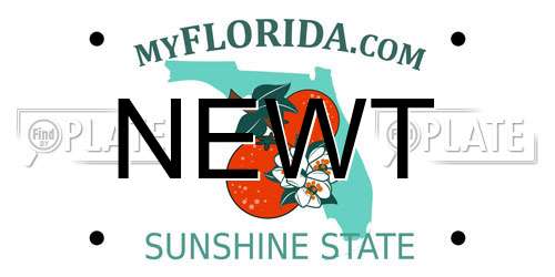 NEWT Florida License Plate