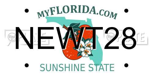NEWT28 Florida License Plate