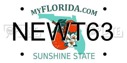 NEWT63 Florida License Plate