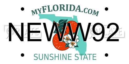 NEWW92 Florida License Plate