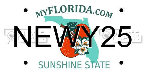 NEWY25 Florida License Plate