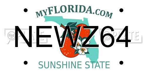 NEWZ64 Florida License Plate