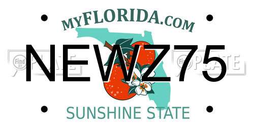 NEWZ75 Florida License Plate