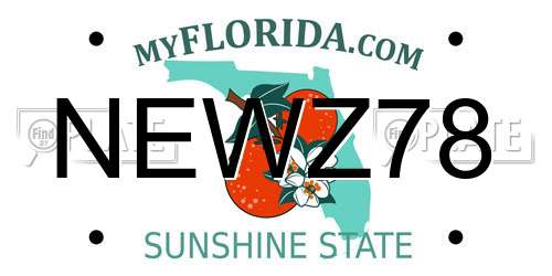 NEWZ78 Florida License Plate