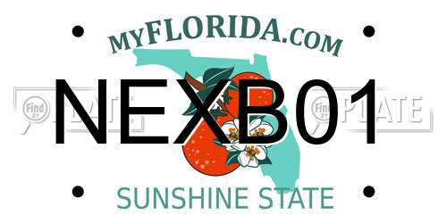 NEXB01 Florida License Plate