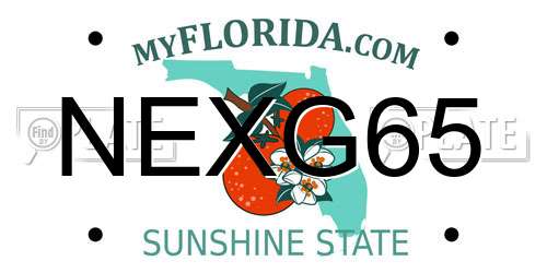 NEXG65 Florida License Plate
